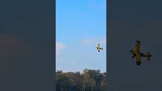 Beautiful knife edge in a Pitts airdot2024 airshow falconfield atlanta aviation Pitts [upl. by Wileen386]