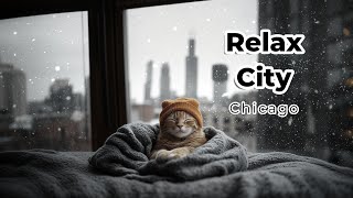 quotSnowy Chill in Relax City A Lofi Day with a Cat in Chicagoquot [upl. by Naimaj40]