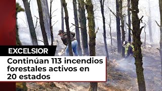 Liquidan 45 incendios pero 113 siguen activos [upl. by Augustus866]