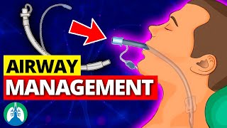 Airway Management OVERVIEW  Artificial Airways  Suctioning  Extubation [upl. by Amitarp123]