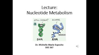 BIO 367 Biochemistry Lecture on Nucleotide Metabolism mcatstudying mcatprep science school [upl. by Aohk]