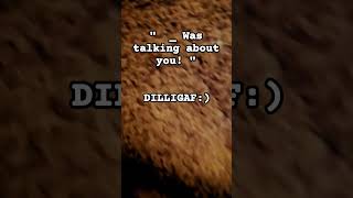 DILLIGAF  Milligan DoILookeLikeIGiveA Funny TalkingAbout Relatable IdkWhatToPutHere [upl. by Ahsinan]