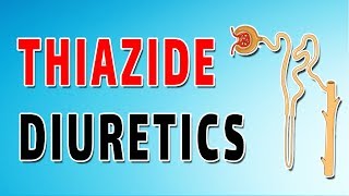 Thiazide Diuretics Mechanism and Side Effects [upl. by Analaj]