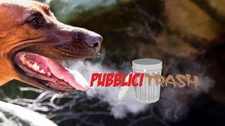 Pubblicitrash  Alito Canino [upl. by Tarfe714]