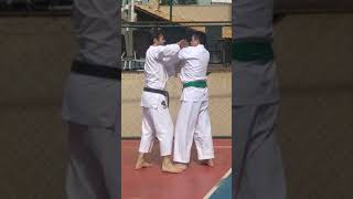 Pinan Shodan Heian Nidan shutouke  nukite bunkai [upl. by Esinnej]