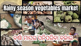 Bhawanipatna rainy season market  weekly market bhawanipatna  seasonal fruit  Kalahandi bajar [upl. by Quincy704]