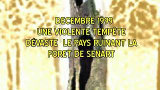 LE CHENE DANTIN DE LA FORET DE SENART 19852009 [upl. by Ailev]