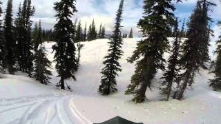 Skidoo Summits riding Fernie BC [upl. by Anaeda268]