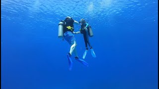 Cozumel Diving 2023 Day 1 [upl. by Eirual322]