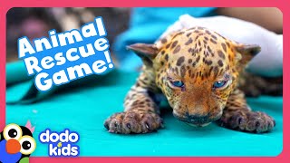 Can YOU Help These Animal Moms Rescue Their Babies  Dodo Kids  Story Game [upl. by Annasor]