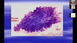 Introduction to Cytopathology [upl. by Zicarelli]