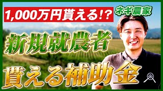 【新規就農】最大1000万円貰える 新規就農者向けの補助金について徹底解説！ [upl. by Noevad271]