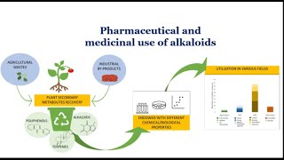 Pharmaceutical and medicinal use of alkaloids [upl. by Arabeila]