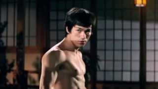 Bruce Lee Tribute THE GLOW HD [upl. by Notneuq]