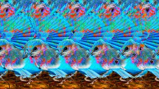 Incredible 3D Stereograms  Can You Find The Hidden Images [upl. by Elrem576]