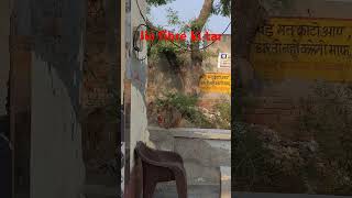 Jio fibre ki tar monkey funny video yutubeshorts funny funnyanimal funnymonkey viralshort sh [upl. by Hernardo]