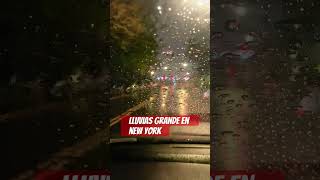 Luvias apodera de new york [upl. by Enitsenrae]