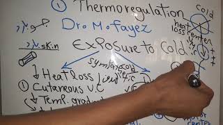 Metabolism new system Thermoregulation and Disorders dr mohamed fayez [upl. by Gillie968]