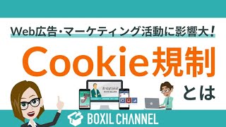 【Cookie規制とは？】規制後、広告の何が変わる？企業が必要な対応を解説！ [upl. by Enaujed]