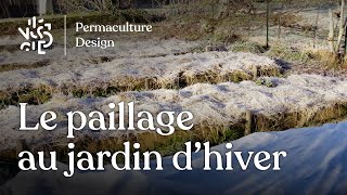 Le paillage en hiver dans un jardin en permaculture [upl. by Annissa340]