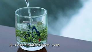 Things you have to know about Kaihua Longding Tea [upl. by Frerichs]