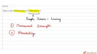 What is the chief functions of collenchyma   9  TISSUES  BIOLOGY  PRADEEP  Doubtnut [upl. by Atteynad]