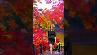 Basia Czołpińska  Kasztanycover dlaciebie youtubeshorts cover music subscribe song music [upl. by Kalasky]