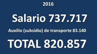 Salario mínimo legal vigente 2017 [upl. by Sabba39]