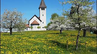 Livestream von Katholische Pfarrei Wetzikon [upl. by Giustina490]