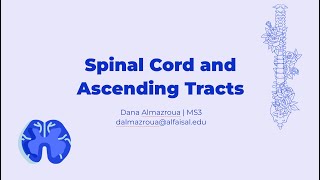 Spinal Cord amp Ascending Tracts  Dana Almazroua  NEU 241 PAL review session [upl. by Bevash]