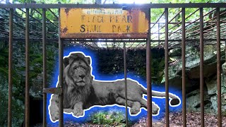 Exploring the Mystery of Hallies Abandoned Zoo [upl. by Kirby]