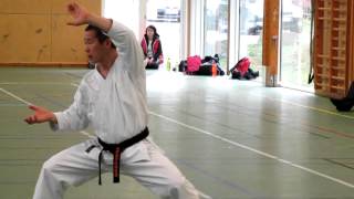 Kagawasensei shows the last part of kata Empi [upl. by Calvert]