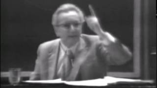 Viktor Frankl on Why Idealists Are Real Realists [upl. by Akenal]