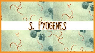 Streptococcus Pyogenes [upl. by Dnesnwot]