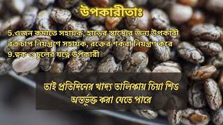 চিয়া শিড Chia Seeds একটি সুপারফুড হিসাবে পরিচিত [upl. by Rediah]