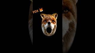 Im fox  1 music speedup song lyrics [upl. by Nosloc]