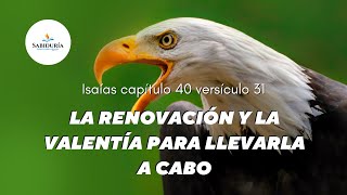 Isaías capítulo 40 versículo 31  La renovación y la valentía para llevarla a cabo [upl. by Stephani]