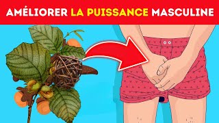 Améliorer la Puissance Masculine avec ces 5 Remèdes Naturels [upl. by Portie766]