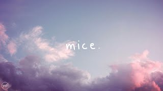 Billie Marten  Mice Lyrics [upl. by Nalak]