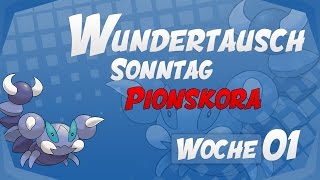 Wundertausch Sonntag  Woche 01 Pionskora  Pokémon Omega Rubin und Alpha Saphir ΩRαS [upl. by Eedna]