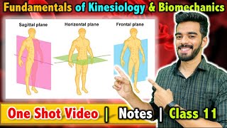 Fundamentals of Kinesiology and Biomechanics in Sports  Class 11  Unit  8  FREE Notes 🔥 [upl. by Yvor]