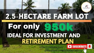 Vlog087 25hectare farm lot for only 950k best for retirementplan and investment [upl. by Wilson]