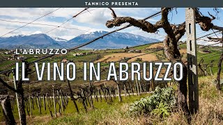 Montepulciano Trebbiano e il successo internazionale il vino in Abruzzo  Tannico [upl. by Harraf]