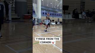 12 STRAIGHT corner triples from Tyrese Haliburton 🔥  Shorts [upl. by Milton935]