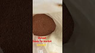 Dehaat seeds to market HD 2967 [upl. by Ayom]