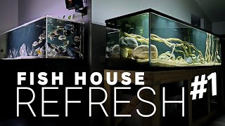 A Week in Review Life in My FISH HOUSE [upl. by Tobit]