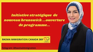 Initiative stratégique de nouveau brunswick ouverture de programmecanadavisaimmigreraucanada [upl. by Scrivings680]