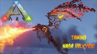 TAMING VALKYRIE DRAGON  Ark Survival evolved indonesia [upl. by Miyasawa438]