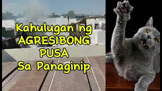 KAHULUGAN NG PUSA SA PANAGINIP [upl. by Gussman]