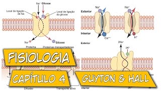 Fisiologia  O Transporte de Substâncias Através da Membrana Celular Capítulo 4 [upl. by Pryce989]